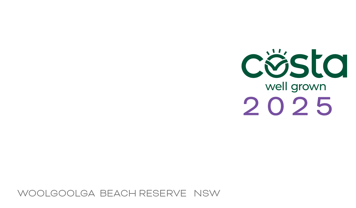 blues and berries logo